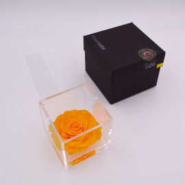 ARS NOVA FLOWERCUBE 10x10 CM COLORE GIALLO
