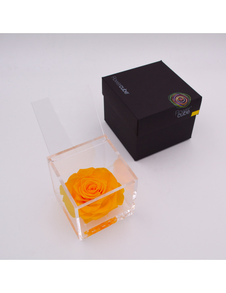 ARS NOVA FLOWERCUBE 10x10 CM COLORE GIALLO 