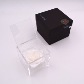 ARS NOVA FLOWERCUBE 10x10 CM COLORE BIANCO