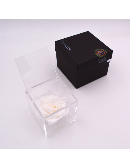 ARS NOVA FLOWERCUBE 10x10 CM COLORE BIANCO  ARS NOVA FLOWERCUBE 10x10 CM COLORE BIANCO