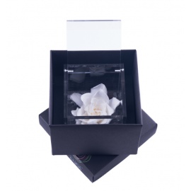 ARS NOVA  FLOWERCUBE COLORE BIANCO