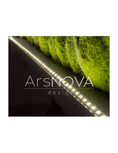 ARS NOVA QUADRO VEGETALE 180x60 CM 