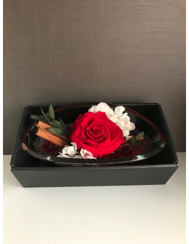 ARS NOVA ROSA IN BARCA 25x12x9,5