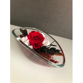 ARS NOVA ROSA IN BARCA 16x8x6,5