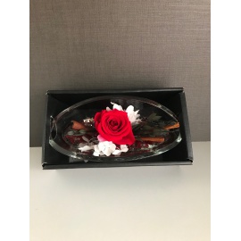 ARS NOVA ROSA IN BARCA 16x8x6,5 2