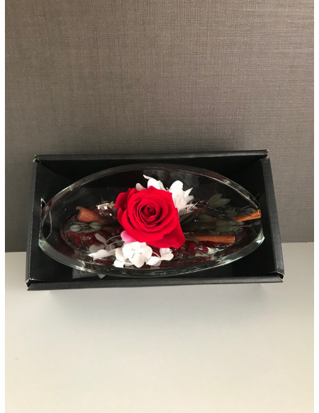 ARS NOVA ROSA IN BARCA 16x8x6,5