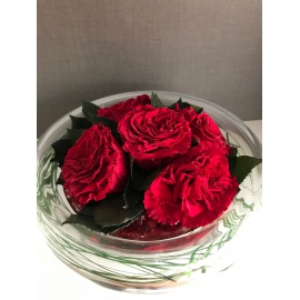 ARS NOVA CENTROTAVOLA VETRO D25 2