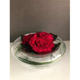 ARS NOVA CENTROTAVOLA VETRO D20