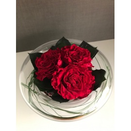 ARS NOVA CENTROTAVOLA VETRO D20 2