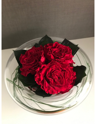 ARS NOVA CENTROTAVOLA VETRO D20