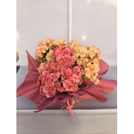 COMPOSIZIONE BEGONIE CON CARTOPACK 