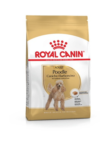 ROYAL CANIN BARBONCINO 500 GR