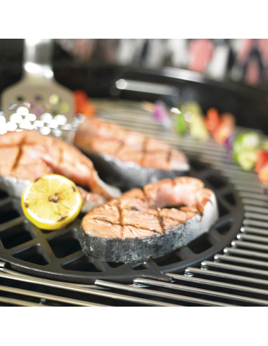 GRIGLIA DI ROSOLATURA GBS WEBER