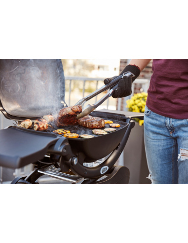 WEBER Q1200 con STAND