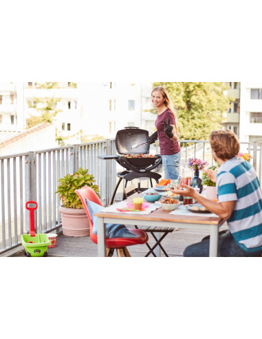 WEBER Q1200 con STAND