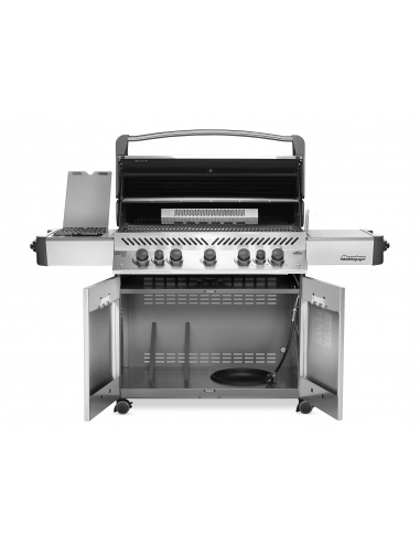 NAPOLEON PRESTIGE 665