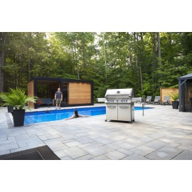 NAPOLEON PRESTIGE 665 2