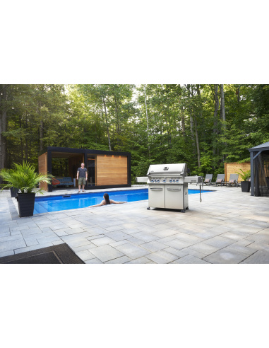 NAPOLEON PRESTIGE 665