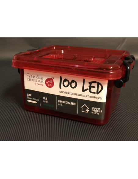 Catena Luminosa GIARDINIA 100 LED Bianco Ghiaccio 