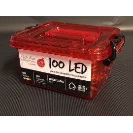 Catena Luminosa GIARDINIA 100 LED Multicolor 2