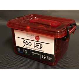 Catena Luminosa GIARDINIA 300 LED Blu 2