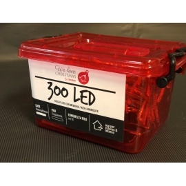 Catena Luminosa GIARDINIA 300 LED Bianco Ghiaccio 2