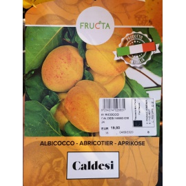 ALBICOCCO CALDESI