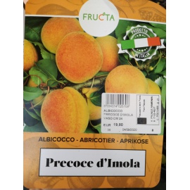 ALBICOCCO PRECOCE D'IMOLA