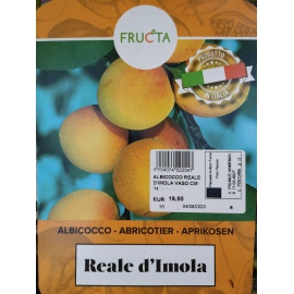ALBICOCCO REALE D'IMOLA