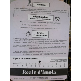 ALBICOCCO REALE D'IMOLA 2