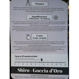 SUSINO SHIRO - GOCCIA D'ORO 2