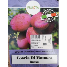 SUSINO REGINA CLAUDIA GIALLA