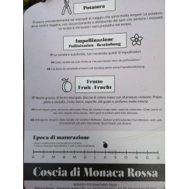 SUSINO REGINA CLAUDIA GIALLA 2