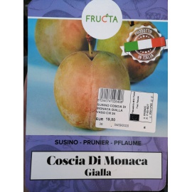 SUSINO COSCIA DI MONACA GIALLA