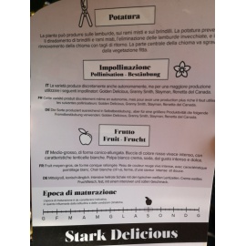 MELO STARK DELICIOS 2