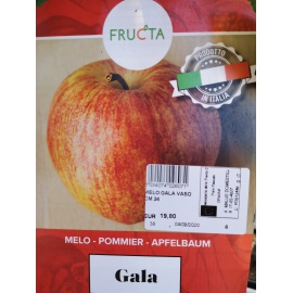 MELO GALA