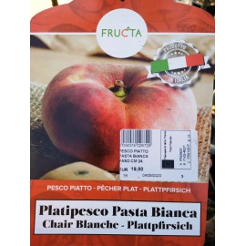 PESCO PIATTO A PASTA BIANCA 