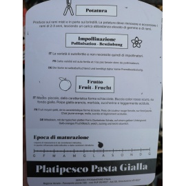 PESCO PIATTO A PASTA GIALLA 2
