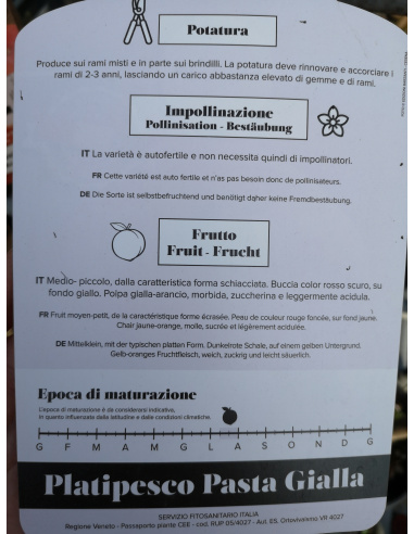 PESCO PIATTO A PASTA GIALLA