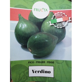 FICO VERDINO