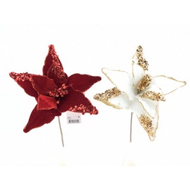 Fiore natalizio, Stella di Natale velluto/glitter assortito