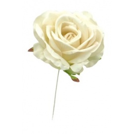 Fiore natalizio, Rosa in Velluto Bianco