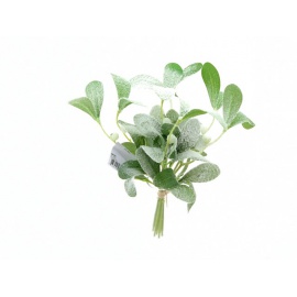 Fiore natalizio, Vischio Innevato 25 cm 