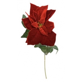 Fiore natalizio, Stella di Natale in Velluto Rosso