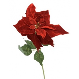 Fiore natalizio, Stella di Natale in Velluto Rosso