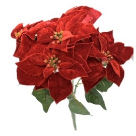 Fiore natalizio, Stella di Natale in Velluto Rosso