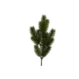 Fiore natalizio, Ramo di Pino 