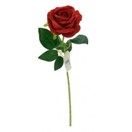 Fiore natalizio, Rosa Rossa in Velluto