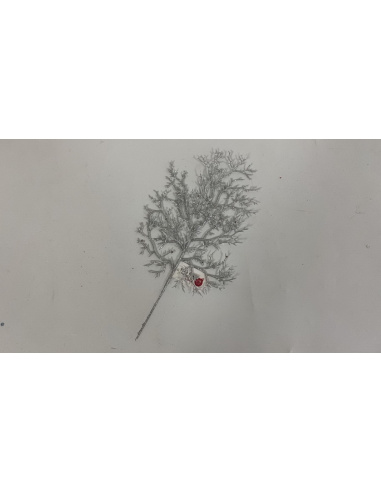 Fiore Natalizio, Foglia Corallo Glitter Argento 33cm 