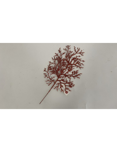 Fiore Natalizio, Foglia Corallo Glitter Rosso 33cm 